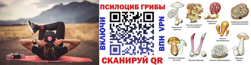 Псилоцибиновые грибы мухоморы  где продают   Новоульяновск 